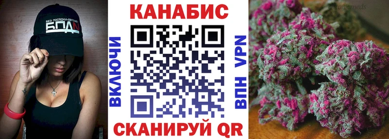как найти наркотики  Приволжск  Бошки Шишки ГИДРОПОН 